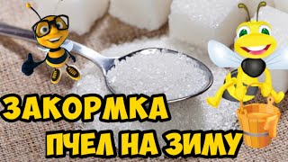 🔴Закормка пчел на зиму сахарным сиропом🔴