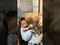 ベロベロで大笑い #ゴールデンレトリバー #大型犬のいる生活 #子供と犬 #dog