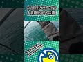 この魚を掴むハサミ、便利すぎて大人気なんです