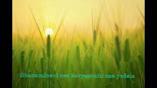 Ghanaminavi Nee Karyamulu