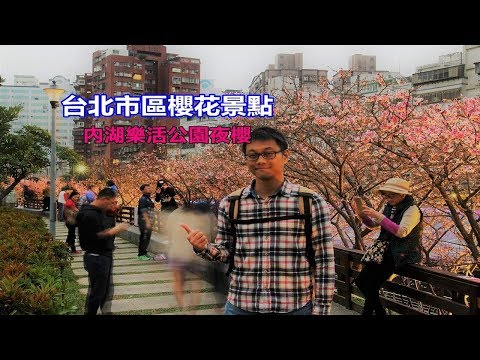 [台北自由行攻略] 在市區就有櫻花可以看不用跑遠，內湖樂活公園夜晚的櫻花好迷人！