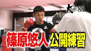 「Krush.88」5.17（木）後楽園　篠原悠人、FUMIYAとの再戦は“連打”で返り討ちにする！「10回やっても10回勝つ自信がある。前回の対戦は3RKOだったので、今回は1RKOで勝ちます」