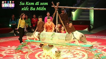 Su Kem đi xem xiếc ở rạp xiếc trung ương P1