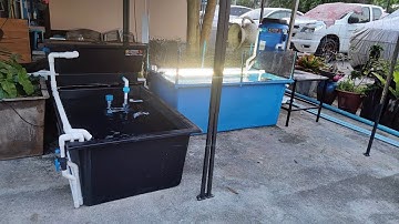 Bank เฉลิมพระเกียรติ 30 - งานระบบ Overflow Full Services อ่างไฟเบอร์ 2 ใบ/กรองถัง + กรองบน อ่างมีปลา