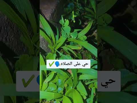 حي على الصلاة