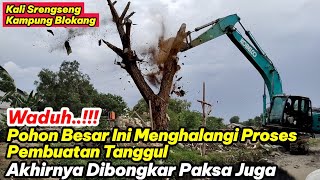 Akhirnya Dibongkar‼️ Pohon Besar Menghalangi Proyek Tanggul Kali Srengseng Kampung Blokang