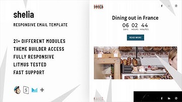 Shelia – Responsive Email + StampReady Builder | Themeforest Website Templates and Themes