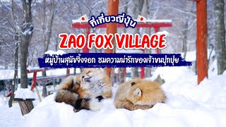 ที่เที่ยวญี่ปุ่น หมู่บ้านสุนัขจิ้งจอกซาโอะ(Zao Fox Village)