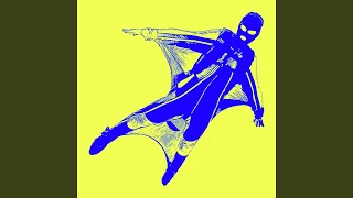 Wingsuit - Waving The Guns