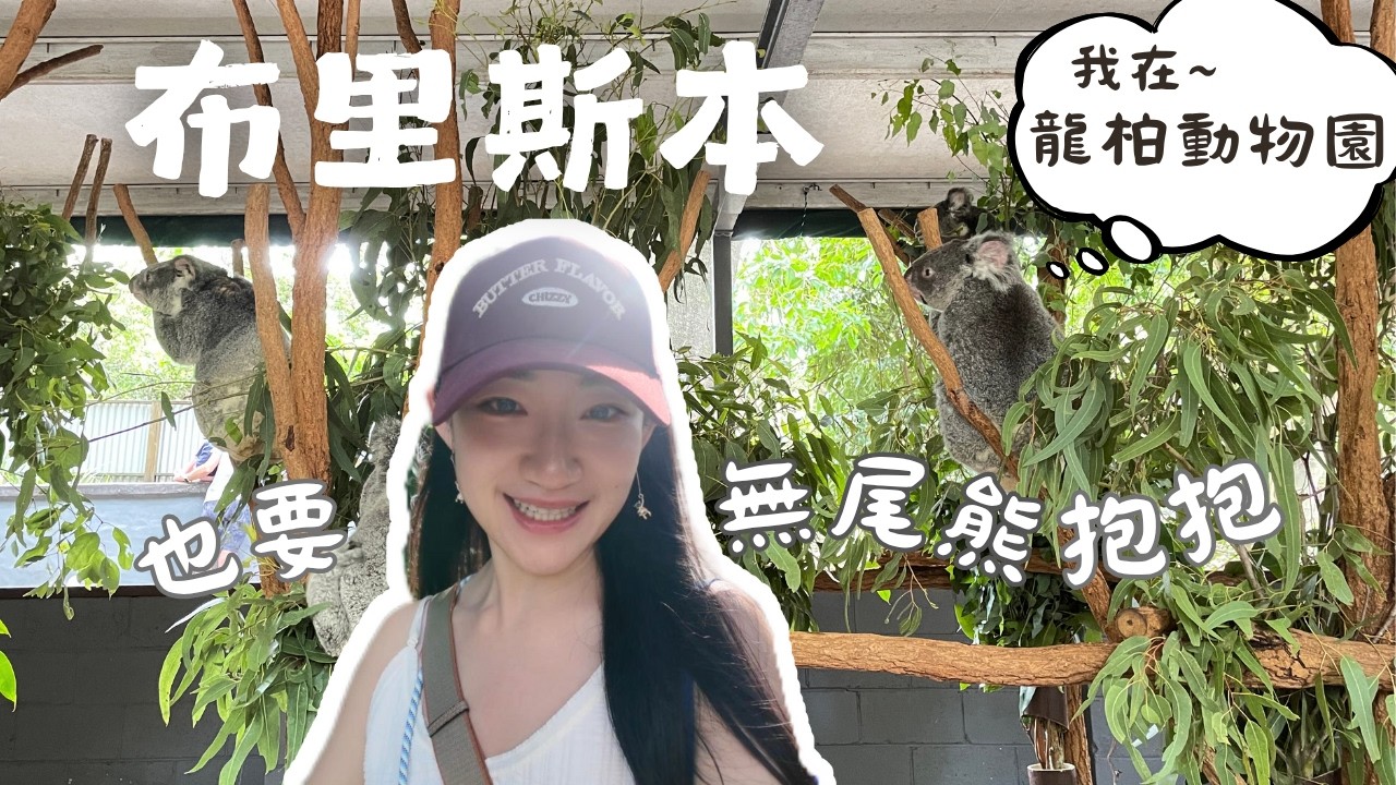 玩翻澳洲 EP5－限量就是殘酷的😭 人家也要無尾熊抱抱啦～零距離的動物園 ：龍柏動物園｜Brisbane：Lone Pine Koala Sanctuary