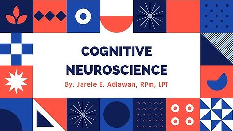 Lesson 4 - Cognitive Neuroscience