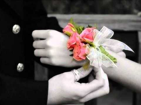 E W نانسي عجرم بلدياتي