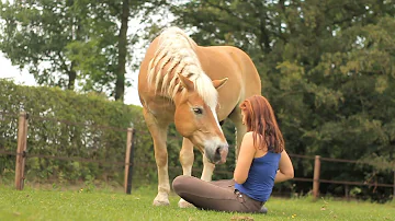 Cuddles with our horses!