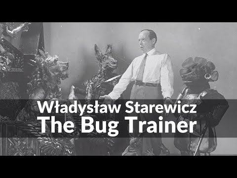বাগ প্রশিক্ষক - Władyslaw Starewicz-এর গল্প