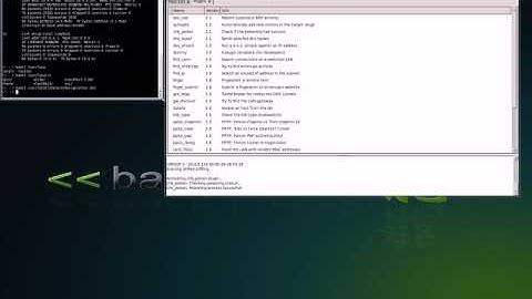 ARP Poisoning, DNS Spoofing, Exploit - Reverse TCP Shell With Backtrack