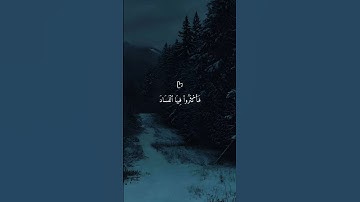 تلاوة يطمئن لها قلبك بصوت الشيخ ماهر المعيقلي ارح سمعك ♡ #ماهر_المعيقلي​ #قرآن