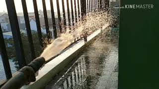 Morning sun 🌞 watering SLOW MOTION !!!