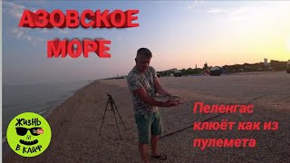 Рыбалка на Азовском МореЛовля Пеленгаса.