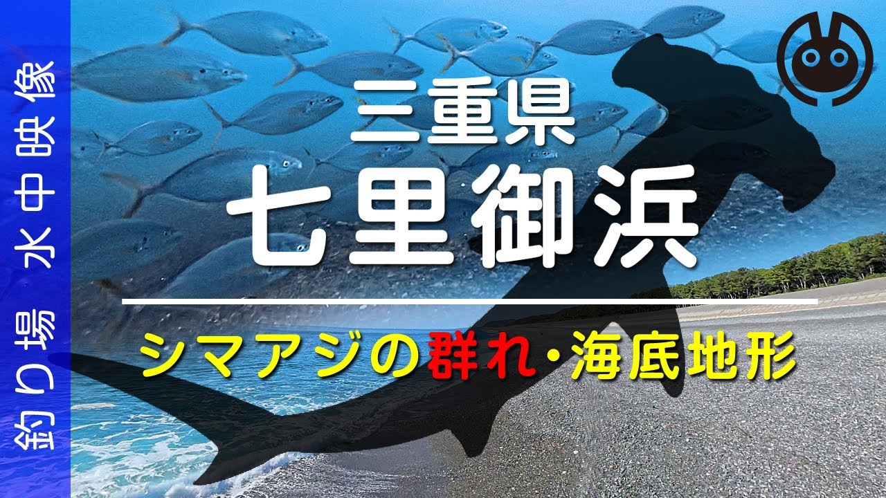 カゴ釣り名所/シマアジの群れ【三重県 七里御浜】100ｍ沖まで水中ドローン海底地形映像/ショアジギング