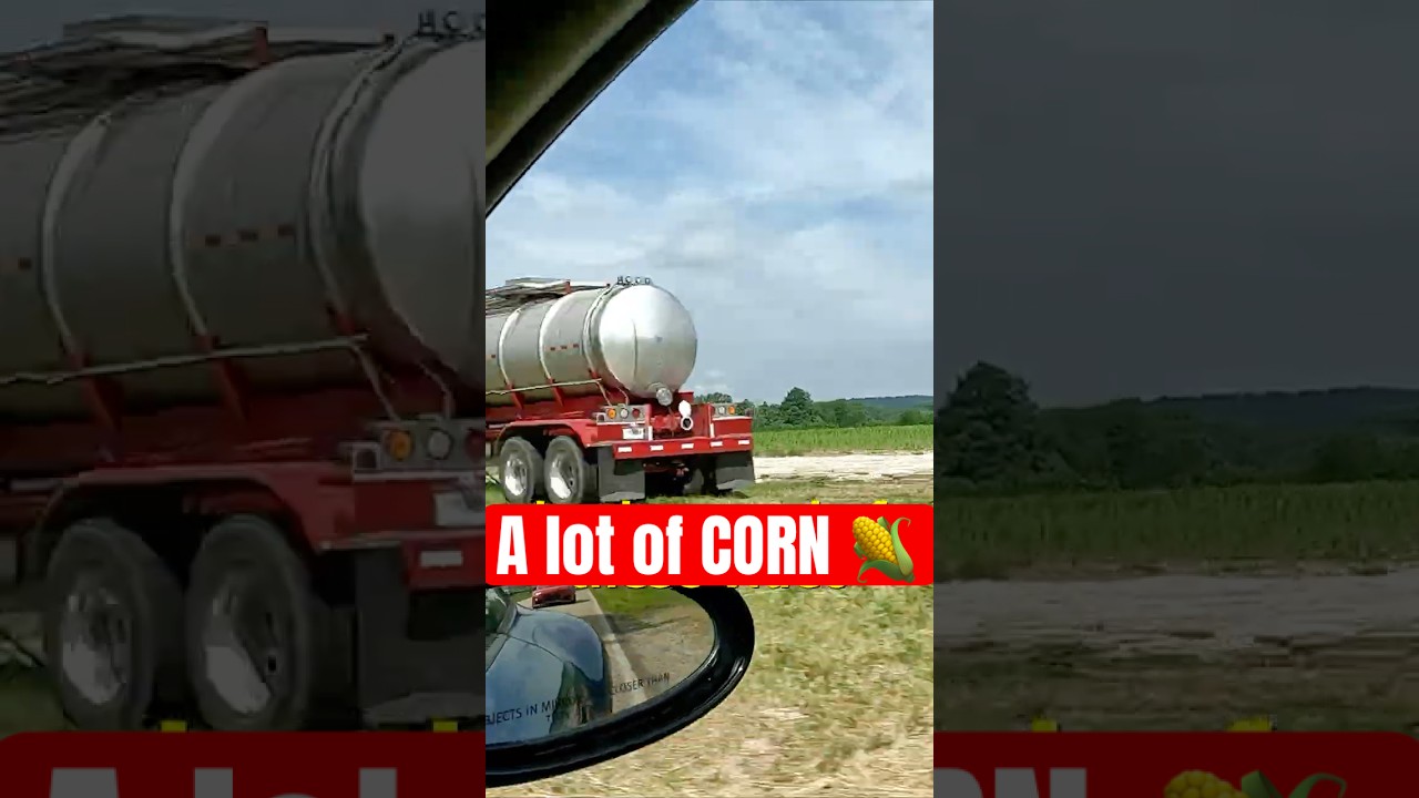Indiana Scenery is CORN