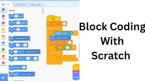 Block Coding with Scratch | Class 4 Computer Lesson | Learn Coding for Kids