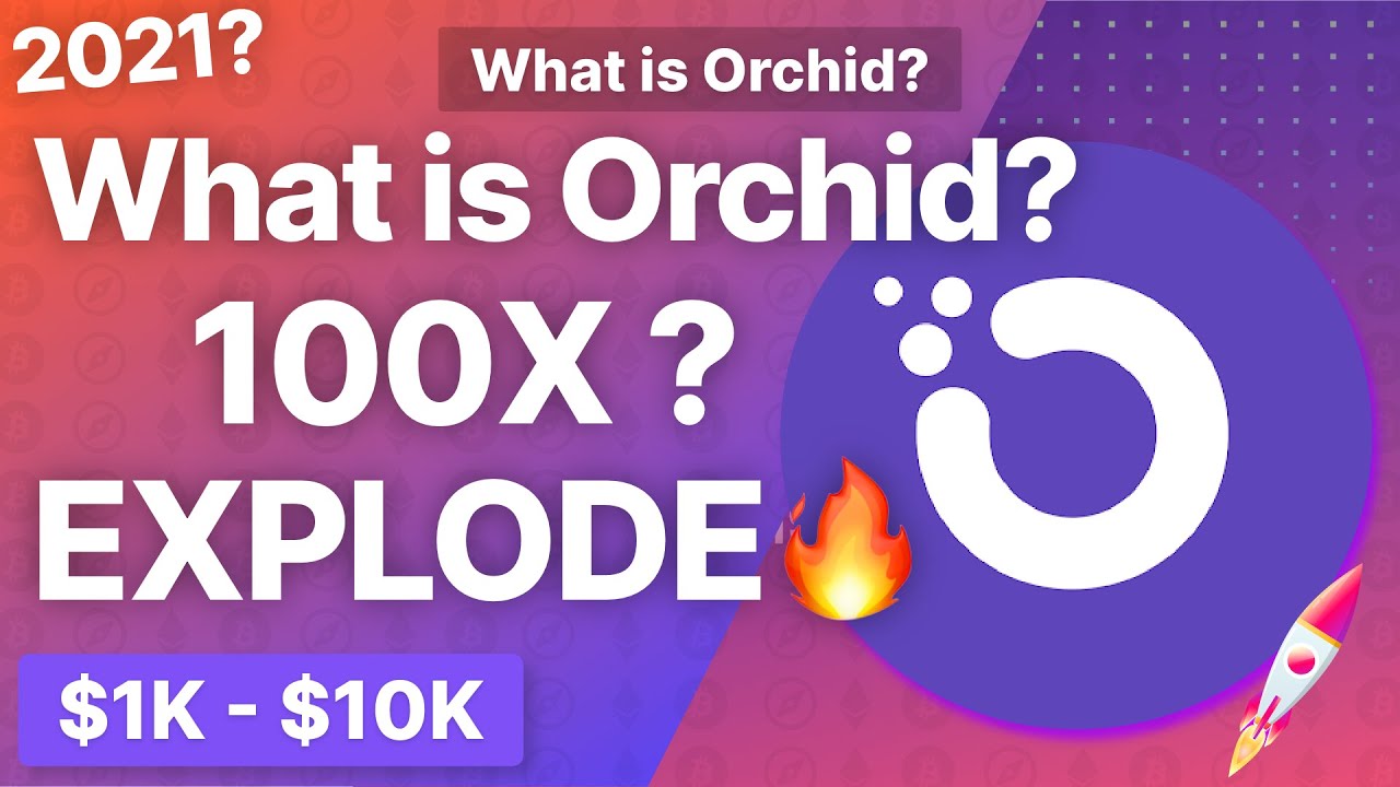 What is Orchid? Orchid Price Prediction? Orchid Update? Decnetralized?