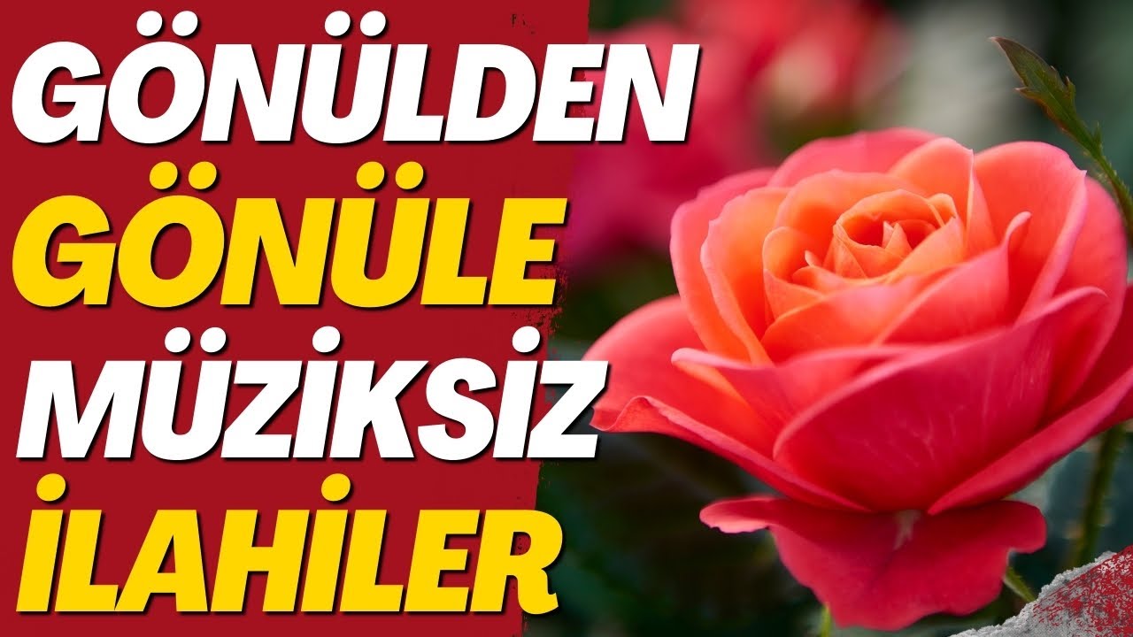 GÖNÜLDEN GÖNÜLE EN GÜZEL MÜZİKSİZ İLAHİLER | HAYIRLI CUMALAR #müziksizilahidinle #müziksizilahi