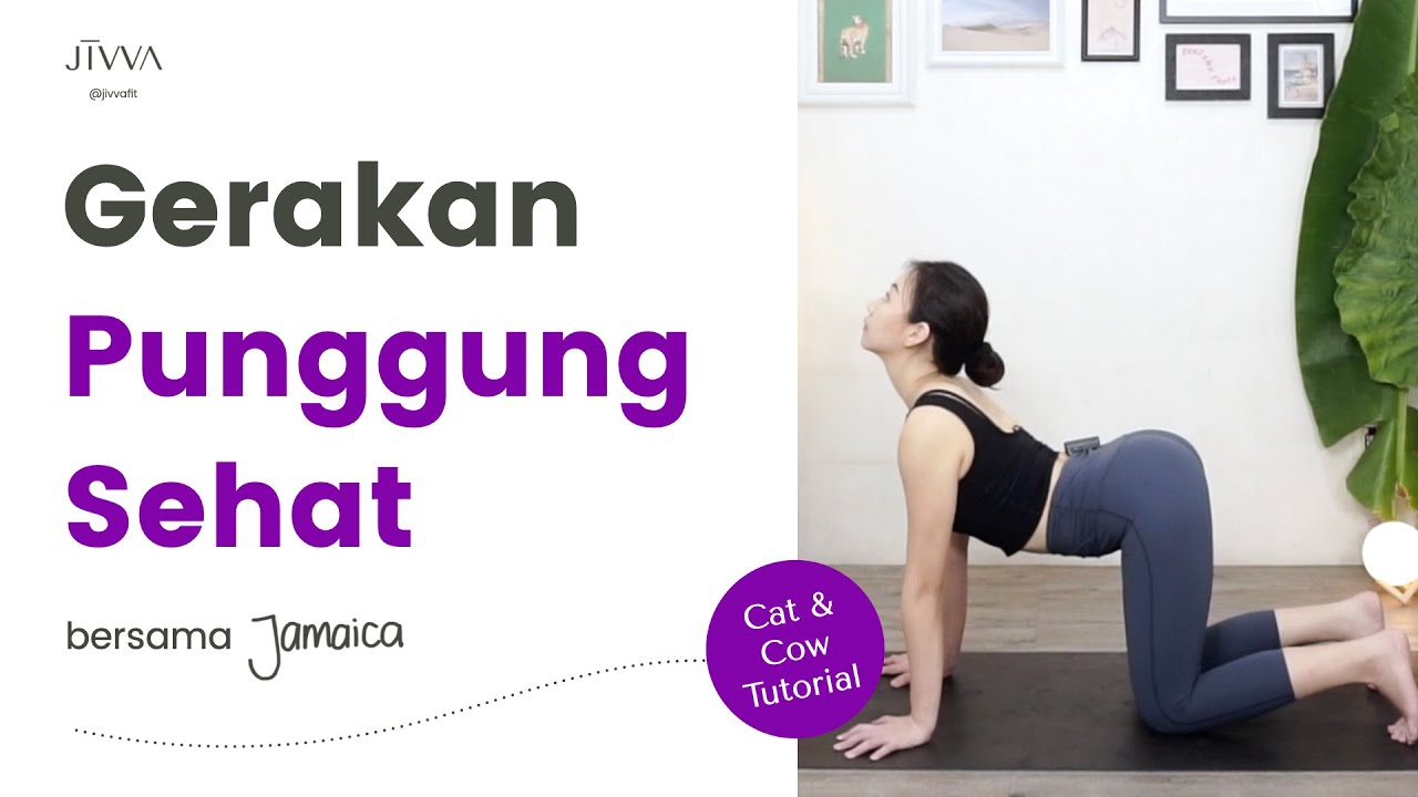 Punggung Lentur Dengan Cat Cow Marjaryasana Bitilasana Tutorial