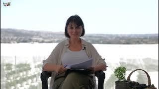 Serada Topraksız Çilek Üretimi: A’dan Z’ye Süreç | Nereden Başlamalı? Nelere Dikkat Etmeli?