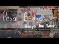 Rodger the rover  peace bridge official lyric