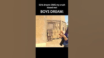 GIRLS VS BOYS DREAM!