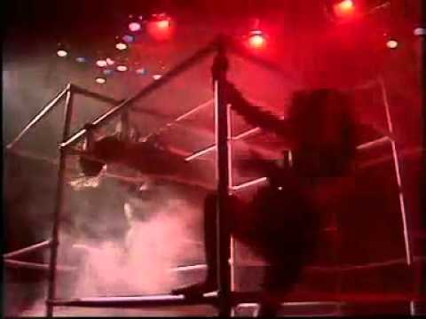 David Bowie Giorgio Moroder Zoo   Cat People