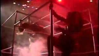 David Bowie Giorgio Moroder Zoo   Cat People