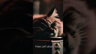 Free LoFi Beat 3 (Looperman)