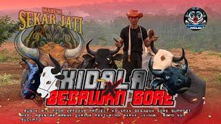 NEW JINGLE - DJ BANTENGAN KIDALAN BEGAWAN SORE‼️ (MAHESO SEKAR JATI) - REMIXER BY:@arpedamproject