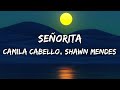 Señorita | Camila Cabello, Shawn Mendes | Lyrical Video