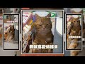 橘貓躲角落姿勢超怪 媽上前關心也沒想動