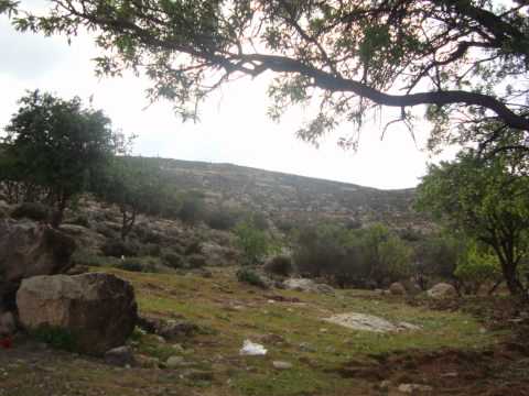 ياطير خذني أبو عرب