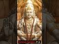 Saranam Ayyappa ✨🙏🏼 WhatsApp status #ayyappaswamysongs #ayyapanpoojai #ayyappan