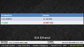 Why Corn Shrugged off Record Ethanol Production Numbers