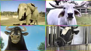 Zombie Elephant  🆚 Zombie Ferdinand  🆚 Zombie Bison 🆚 Zombie Cow coffen dance  Tiles Hop30 screenshot 5