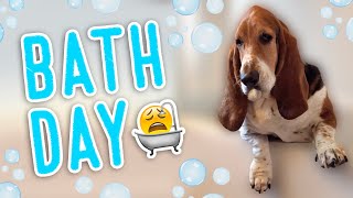 Dean gets a bath! 😩