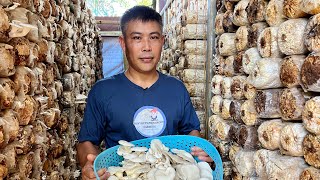 Dating maintenance at saleslady, nakapag pundar ng lupa, bahay, sasakyan dahil sa mushroom farming