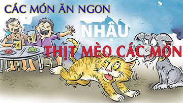 Top 3 món được chế biến từ thịt MÈO ngon nhất Việt Nam - dân nhậu nên xem!