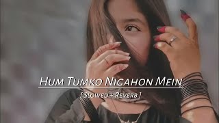 Hum Tumko Nigahon Mein || [Slowed Reverb] || lofi Midnight Mixes