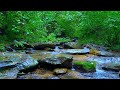 Calming blue mountain stream natural water sound for sleep and relaxation sleep aid meditation