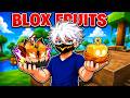 Playing Blox Fruits & It's Fun NGL.. #bloxfruits #roblox #bloxfruit