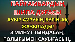 видео: Ауыр дертіңнен бүгін-ақ айық|Толық сауығу үшін Пайғамбардың шипа дұғасын 3 минут тыңдасаң жеткілікті картинка: Ауыр дертіңнен бүгін-ақ айық|Толық сауығу үшін Пайғамбардың шипа дұғасын 3 минут тыңдасаң жеткілікті