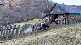 La vida sencilla de los abuelos en el pueblo: renovación del hogar, tiempo en familia