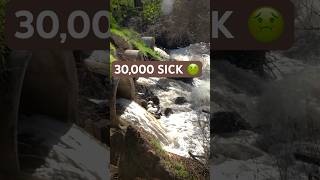 30,000 SICK: The Toxic Crisis in San Diego 😷